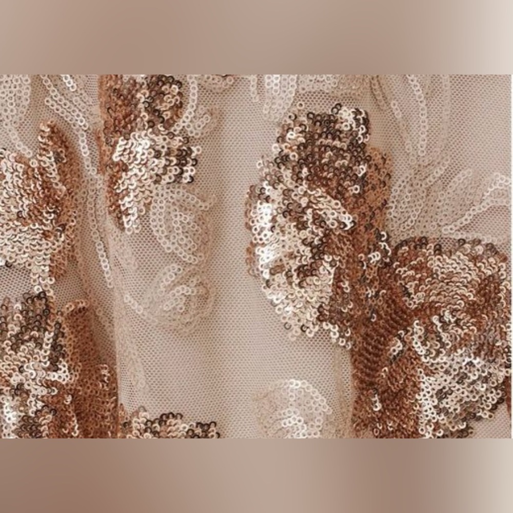 BHLDN Firelle Dress size 6 NWT - Picture 3 of 4